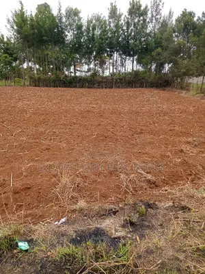 1/2 Acre Elgonview Upper