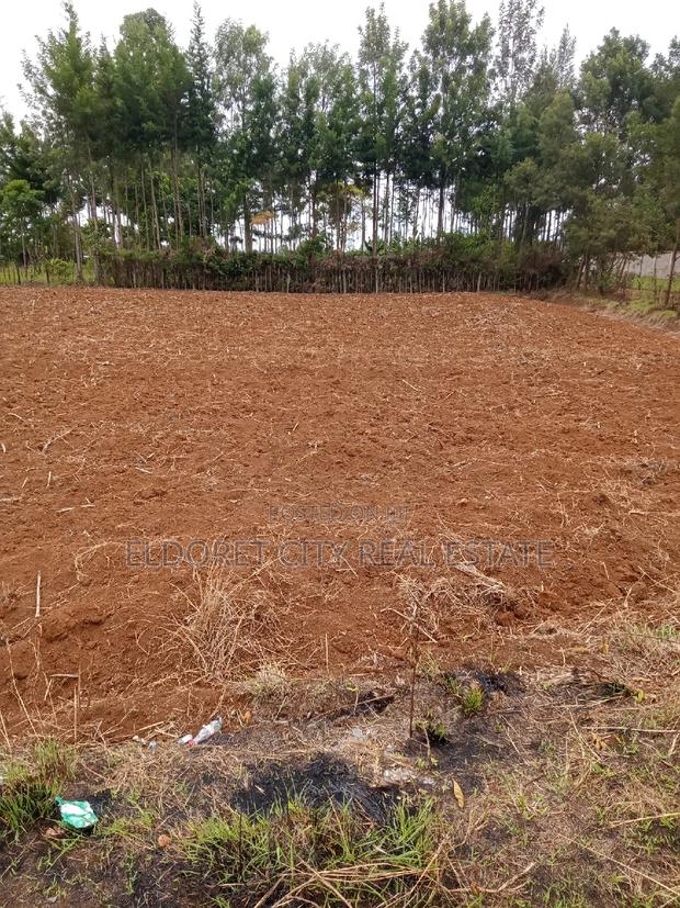 1/2 Acre Elgonview Upper - thumbnail 2