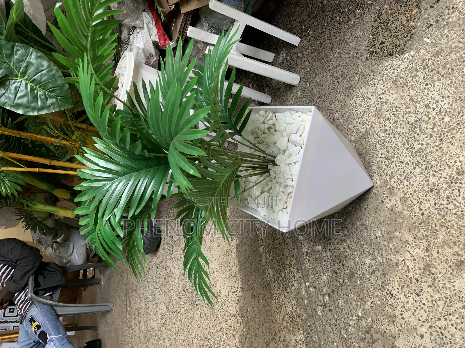 Artificial Plants Available