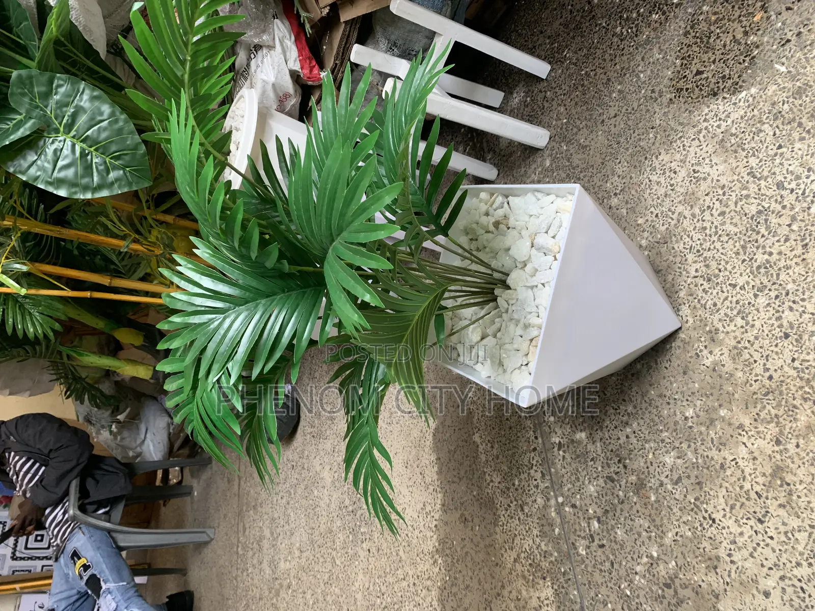 Artificial Plants Available