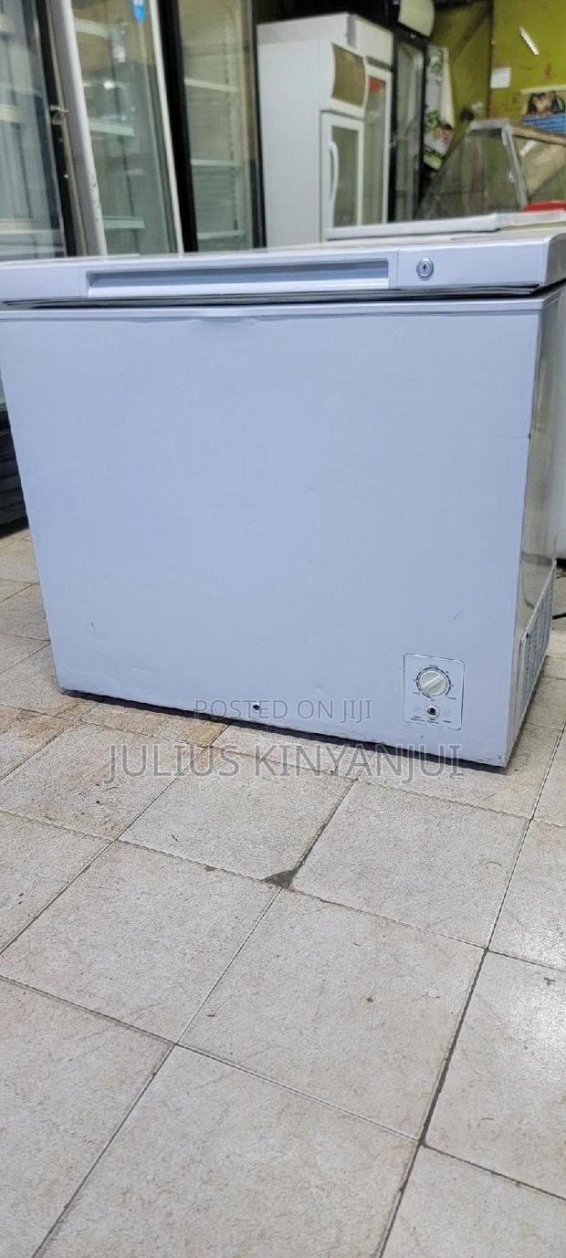Deep Freezer 250L - thumbnail 2