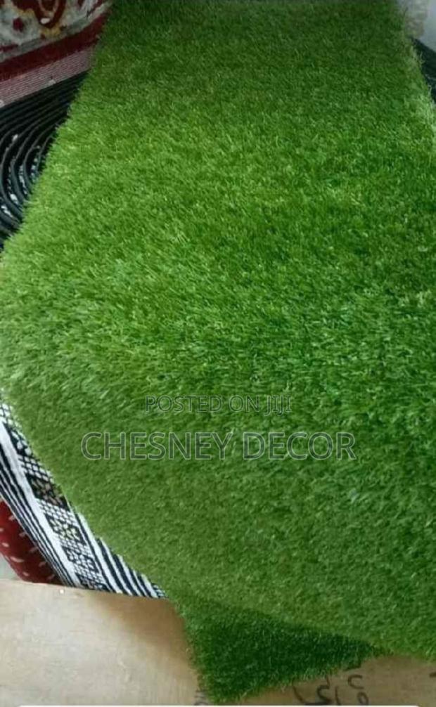 Turf Grass Turf Grass Turf Grass Turf Grass
