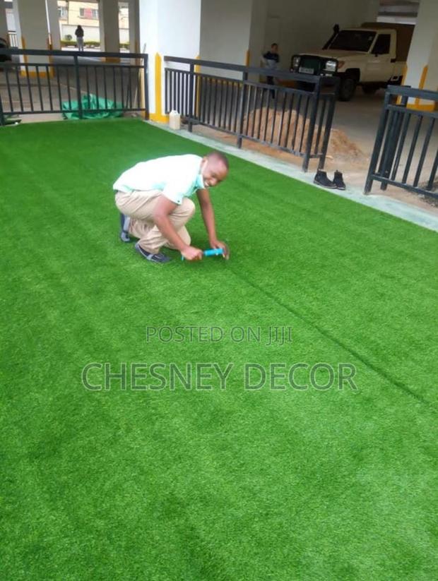 Turf Grass Turf Grass Turf Grass Turf Grass
