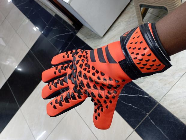 Predator Goalkeeper Gloves