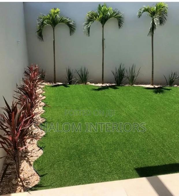 Turf Grass Turf Grass Turf Grass Turf Grass