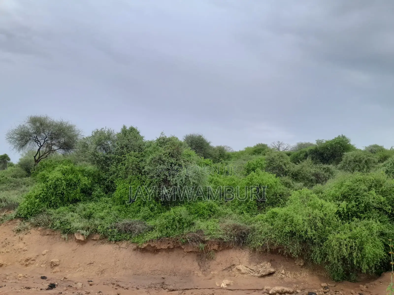 16 Acres Vargin Land in Makindu
