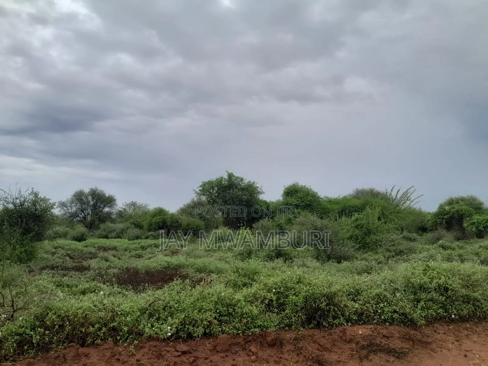 16 Acres Vargin Land in Makindu