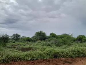 16 Acres Vargin Land in Makindu