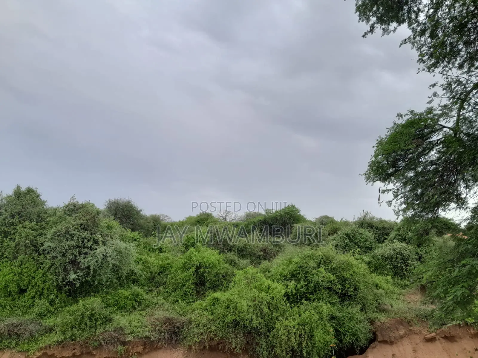 16 Acres Vargin Land in Makindu