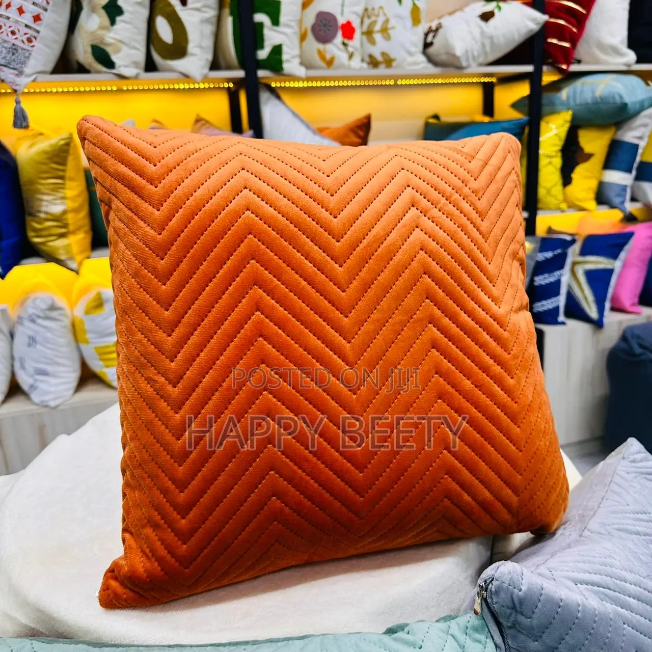 Velvet Plush Throw Pillows
