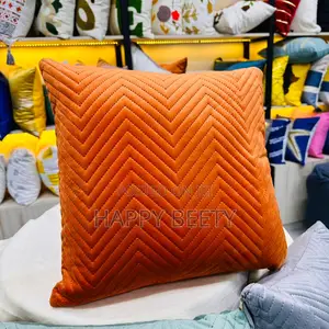 Velvet Plush Throw Pillows