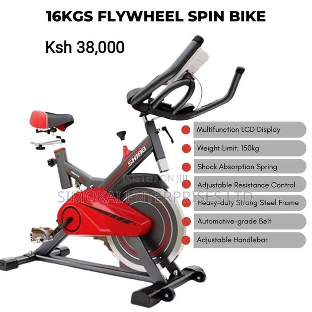 16kg Flywheel Home Exercise Bike