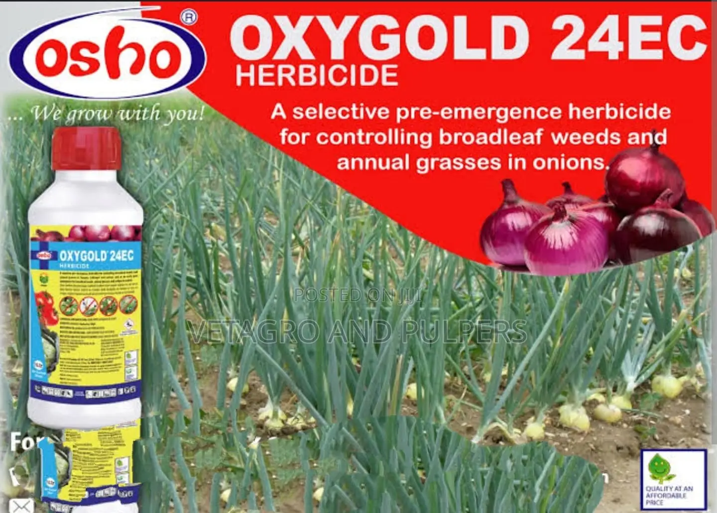 Oxygold 24ec Herbicide