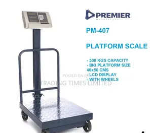 300kg Platform Scale
