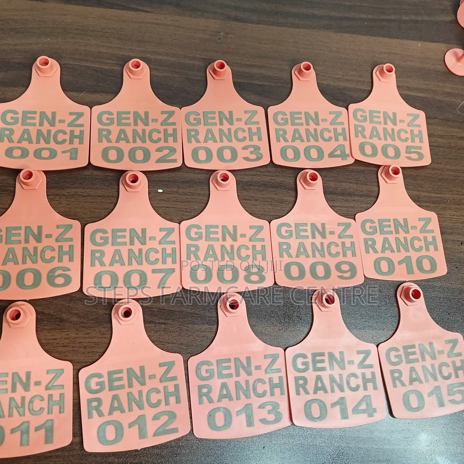 Animal Customised Ear Tags