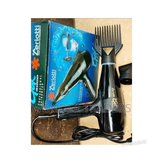 Ceriotti Professional Blow Dryer - main view