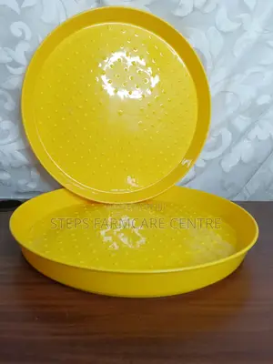 Yellow Day Old Chick Feeding Trays