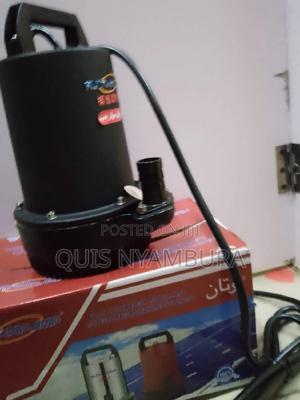 DC/Solar Water Pump 12v - thumbnail 2