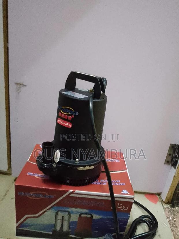 12v DC/Solar Water Pump.
