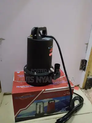 Solar/Dc Submersible Water Pump 12v