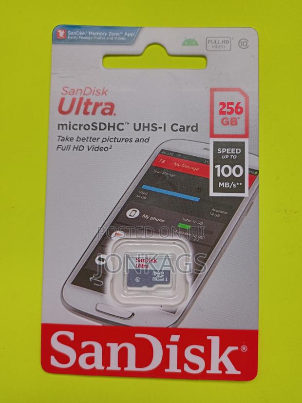 256GB Sandisk Memory Card - main view