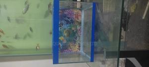 Kids Aquarium, - thumbnail 2