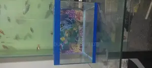 Kids Aquarium, 