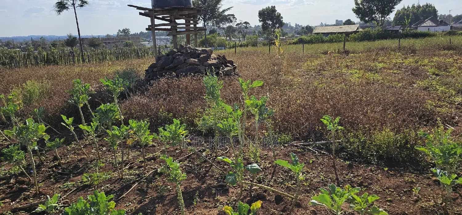 Prime Plot for Sale in Kapsoya Deligacy in Eldoret