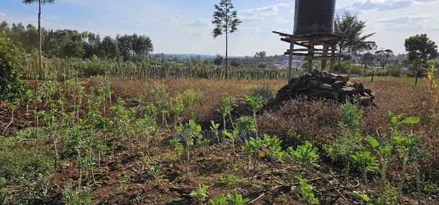 Prime Plot for Sale in Kapsoya Deligacy in Eldoret - thumbnail 3