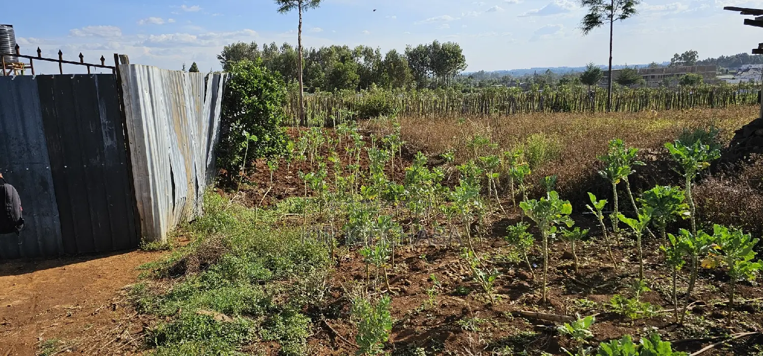 Prime Plot for Sale in Kapsoya Deligacy in Eldoret