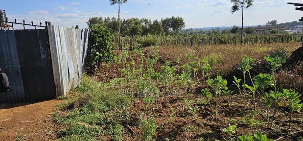 Prime Plot for Sale in Kapsoya Deligacy in Eldoret - thumbnail 4