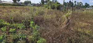 Prime Plot for Sale in Kapsoya Deligacy in Eldoret