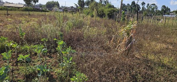 Prime Plot for Sale in Kapsoya Deligacy in Eldoret - thumbnail 5