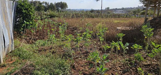 Prime Plot for Sale in Kapsoya Deligacy in Eldoret - thumbnail 6