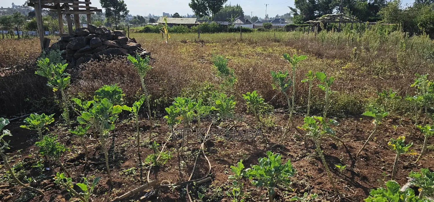 Prime Plot for Sale in Kapsoya Deligacy in Eldoret