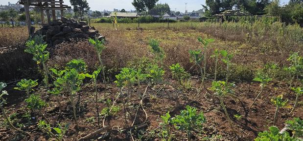 Prime Plot for Sale in Kapsoya Deligacy in Eldoret - thumbnail 7