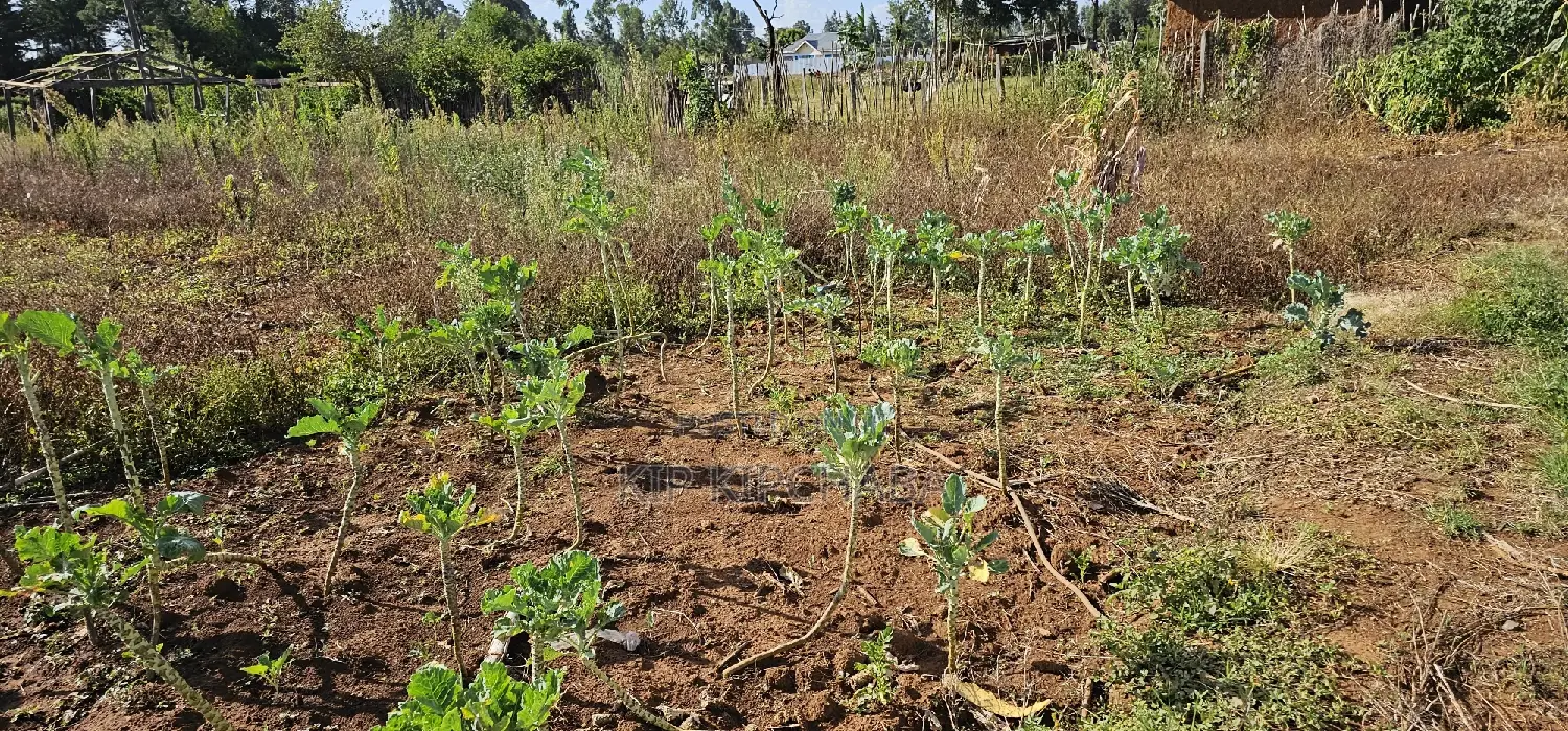 Prime Plot for Sale in Kapsoya Deligacy in Eldoret