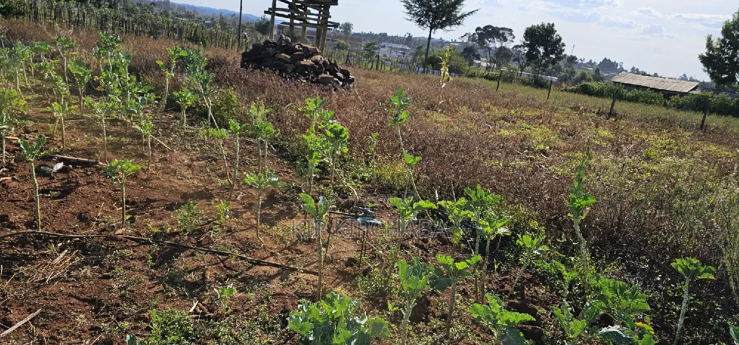Prime Plot for Sale in Kapsoya Deligacy in Eldoret
