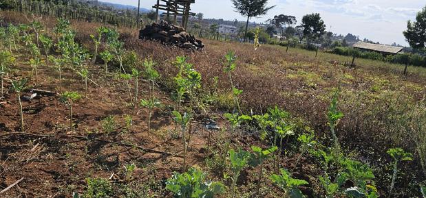 Prime Plot for Sale in Kapsoya Deligacy in Eldoret - thumbnail 9