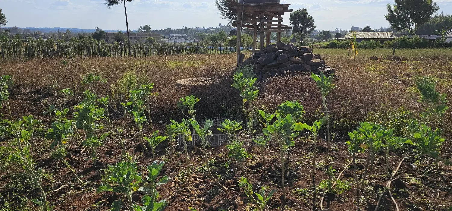 Prime Plot for Sale in Kapsoya Deligacy in Eldoret