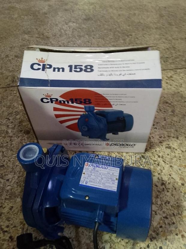 1hp Pedrollo Water Pump/Electric Cpm158 Pedrollo Water Pump