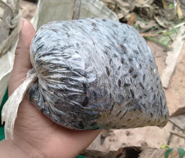 Assorted Fruit Seeds. Avocado. Mango Lemon Passion. - thumbnail 7