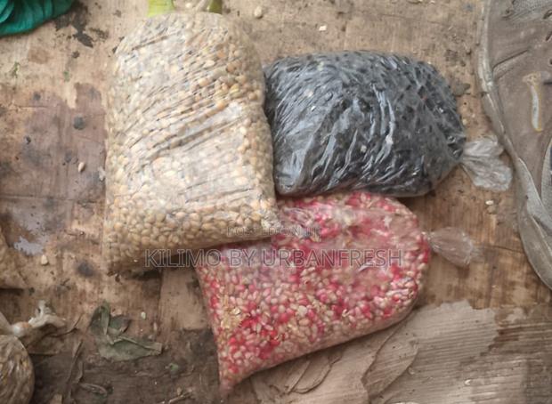 Assorted Fruit Seeds. Avocado. Mango Lemon Passion. - thumbnail 6