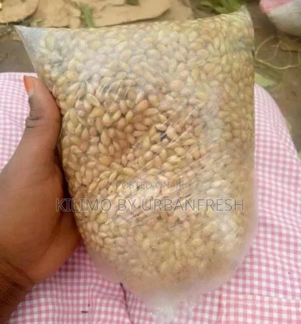 Assorted Fruit Seeds. Avocado. Mango Lemon Passion. - thumbnail 4