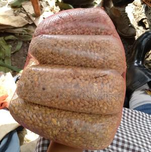 Assorted Fruit Seeds. Avocado. Mango Lemon Passion. - thumbnail 2