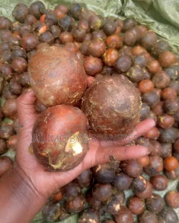 Assorted Fruit Seeds. Avocado. Mango Lemon Passion. - thumbnail 5