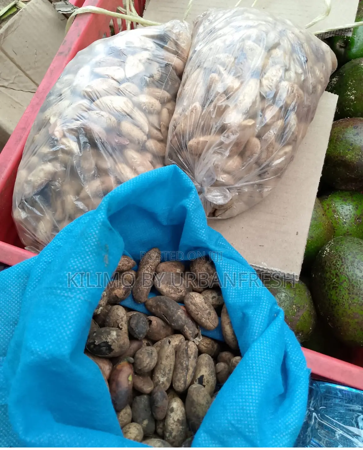 Assorted Fruit Seeds. Avocado. Mango Lemon Passion.