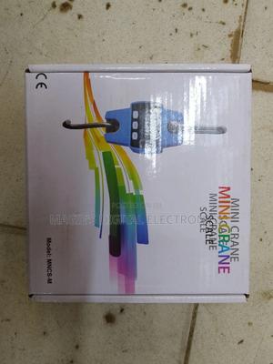 Crane Scale 300kg - thumbnail 2