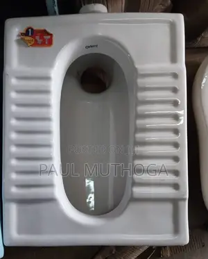 Step Toilet