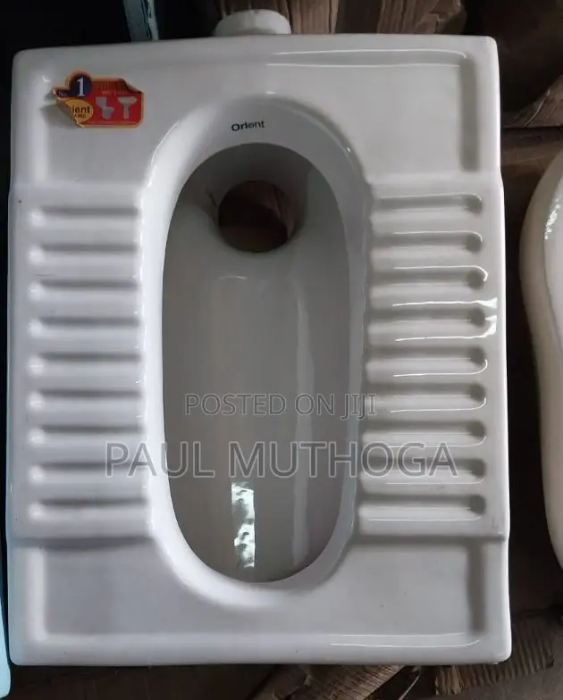 Step Toilet